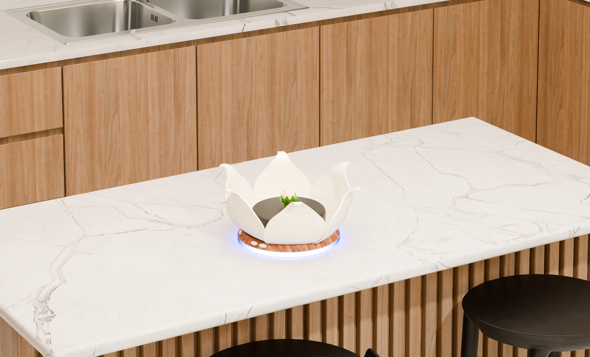 Root open in kitchen